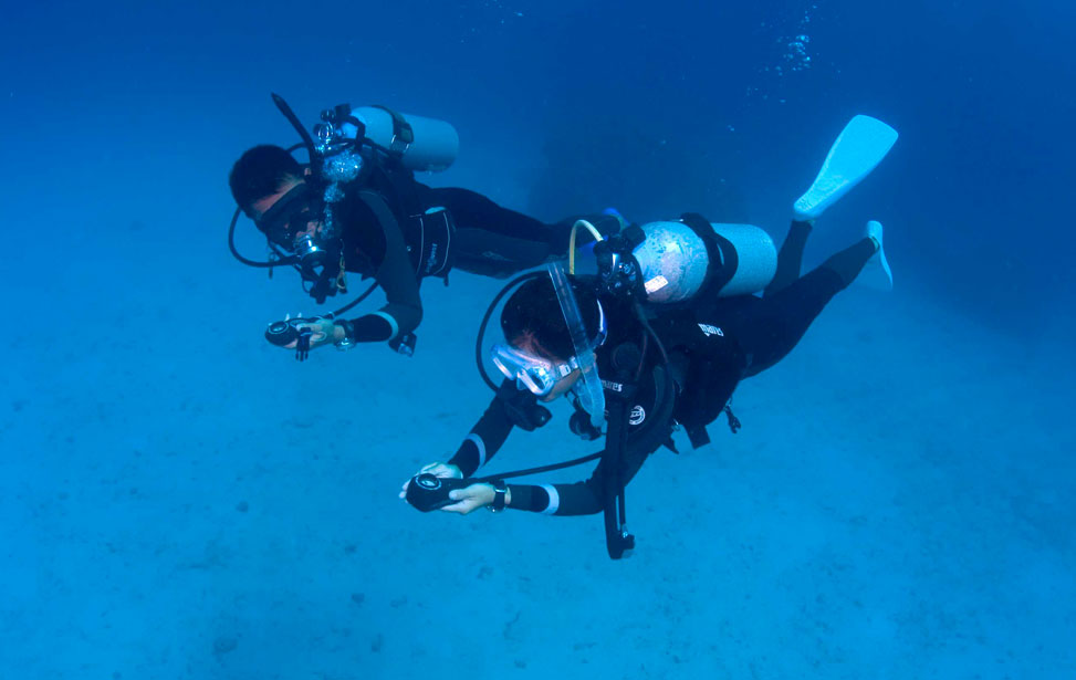 Complete your Divemaster Internship in Cozumel, Cozumel Divemaster Internship